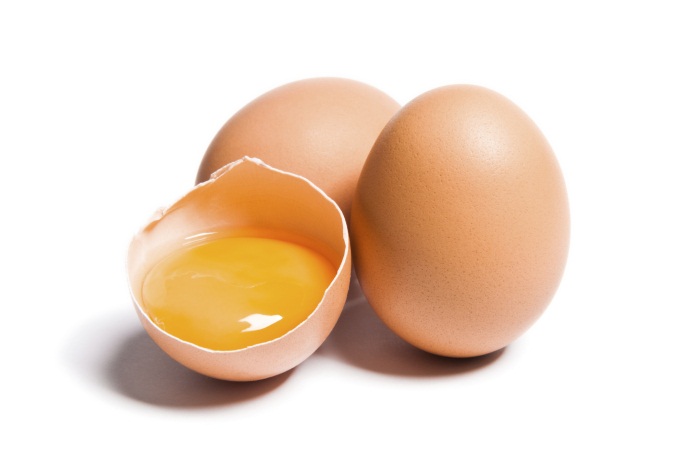 Egg